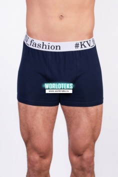 Набор мужских трусов (2шт, серый/синий) №КВ-107ХЛ2851-1