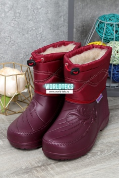 Сапоги женские №НС011