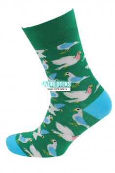 Носки мужские "Super socks" №А184-9 (3/525)