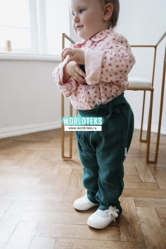 Брючки (изумрудный) №З-3143