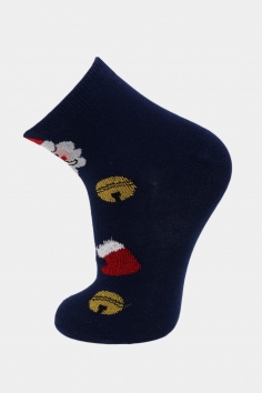 Носки детские №3240-5 (21/313)