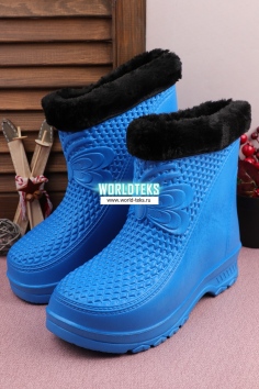 Сапоги женские №С61212