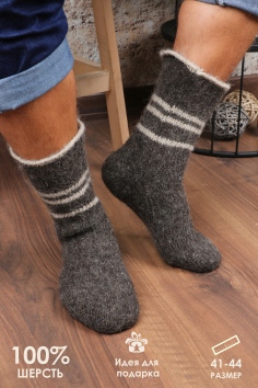 Носки мужские шерстяные №НШ289 (17/103)