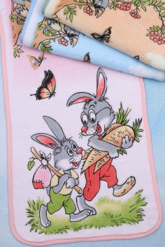 Полотенце кухонное (микрофибра, 25х50) №АВ012-1 (2/213)