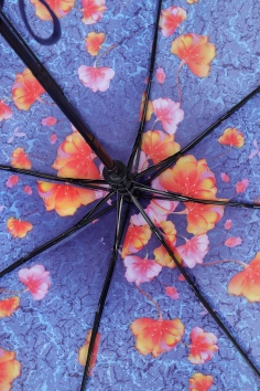 Зонт женский (полуавтомат) №1061