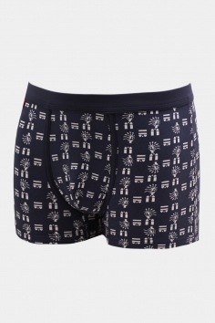 Трусы мужские (хлопок) №6860 (30/210)