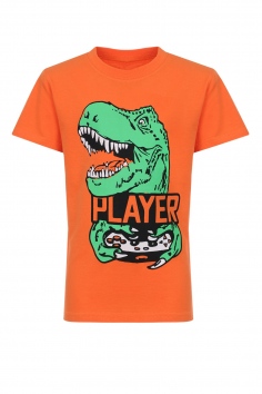 Футболка на мальчика (4-8 лет) №ВК0002М-54 (29/304)