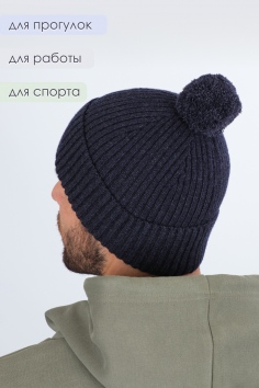Шапка мужская №GL674
