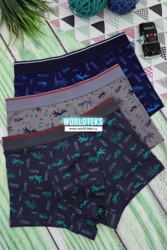 Трусы подростковые (хлопок) №8624 (30/209)