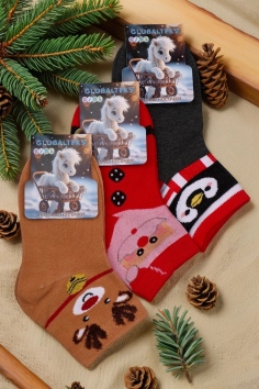 Носки детские №Y077-5 (21/307)