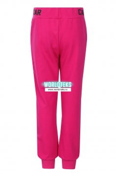 Брюки на девочку (8-12 лет) №ИБ-BZG34 (17/216)