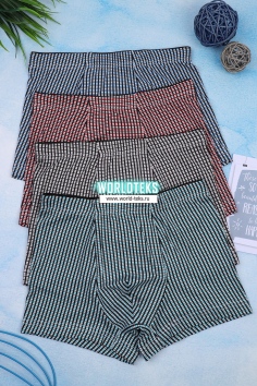 Трусы подростковые (хлопок) №8631 (30/209)