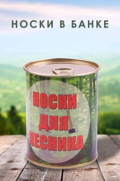 Носки мужские в банке №GL797 Носки для лесника
