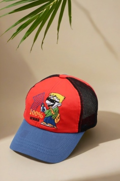 Бейсболка №БА2844-25 (18м/220)