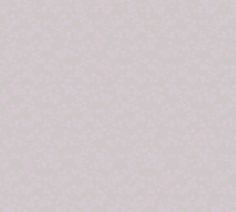 Элисон компаньон 1