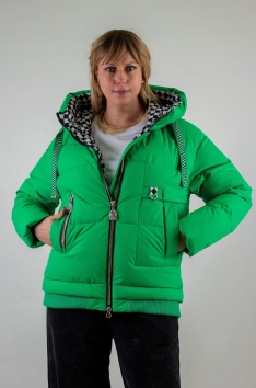 Демисезонная куртка, арт. Н3039, Евро-зима - зеленый №Н-3039-