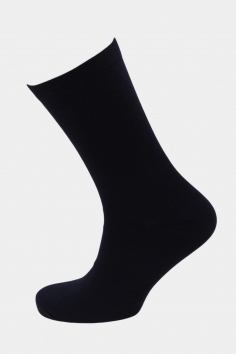 Носки мужские №СК1700 (25/315)