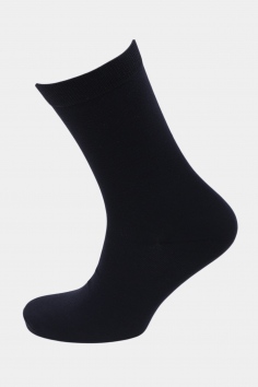 Носки мужские №DK100-1 (25/221)