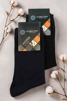 Носки мужские №DK100-1 (25/221)