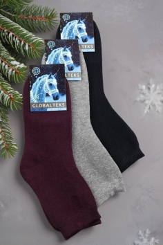 Носки женские (махра) №1681-1 (25/204)