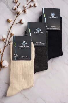 Носки мужские №1825-11 (25/414)