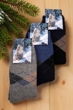 Носки мужские (шерсть, махра) №602-12 (25/201)