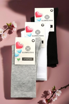 Носки женские №5302-4 (25/315)