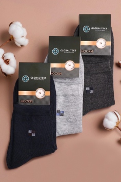 Носки мужские №DM18-5 (25/214)