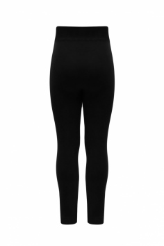 Легинсы детские "BFL" (на меху) №TL100 (22/207)