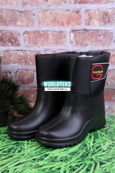 Сапоги женские №СР1016-1