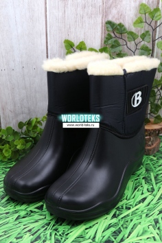 Сапоги женские №СР1016-2