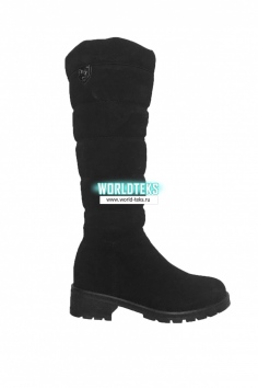 Сапоги женские №БС1160