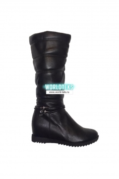 Сапоги женские №БС1156