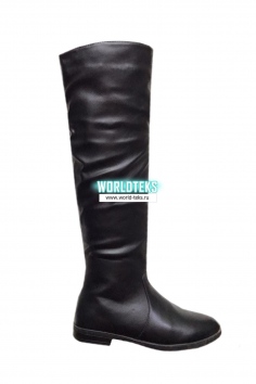 Сапоги женские №БС1223