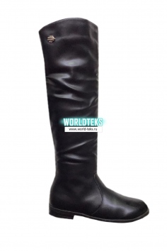 Сапоги женские №БС1224