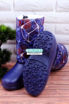 Сапоги женские №СР1015-2